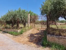 Aste giudiziarie immobiliari online - 2.0