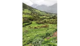 Aste giudiziarie immobiliari online - 2.0