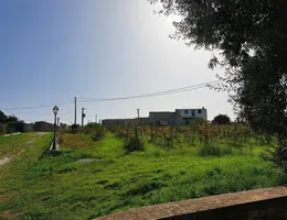 Aste giudiziarie immobiliari online - 8.0