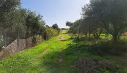 Aste giudiziarie immobiliari online - 9.0