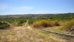 Aste giudiziarie immobiliari online - 9.0