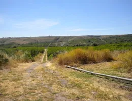 Aste giudiziarie immobiliari online - 11.0