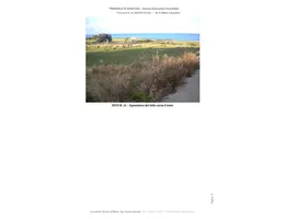 Aste giudiziarie immobiliari online - 3.0