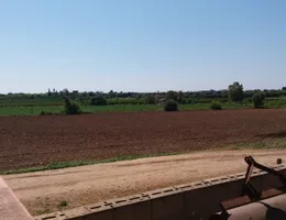 Aste giudiziarie immobiliari online - 8.0