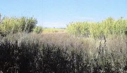 Aste giudiziarie immobiliari online - 3.0