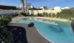 Aste giudiziarie immobiliari online - 8.0