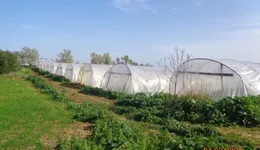 Aste giudiziarie immobiliari online - 5.0