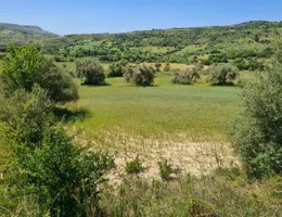 Aste giudiziarie immobiliari online - 8.0