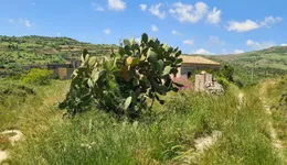 Aste giudiziarie immobiliari online - 7.0