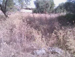 Aste giudiziarie immobiliari online - 12.0