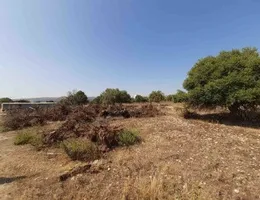 Aste giudiziarie immobiliari online - 5.0