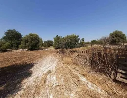 Aste giudiziarie immobiliari online - 7.0