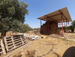 Aste giudiziarie immobiliari online - 8.0