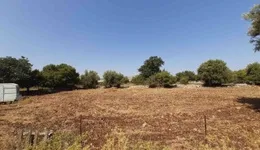 Aste giudiziarie immobiliari online - 5.0