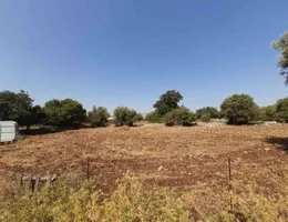 Aste giudiziarie immobiliari online - 9.0