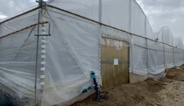 Aste giudiziarie immobiliari online - 4.0