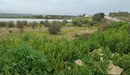 Aste giudiziarie immobiliari online - 6.0