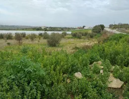 Aste giudiziarie immobiliari online - 6.0