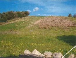 Aste giudiziarie immobiliari online - 7.0