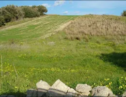 Aste giudiziarie immobiliari online - 5.0