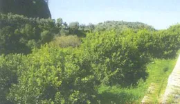 Aste giudiziarie immobiliari online - 2.0