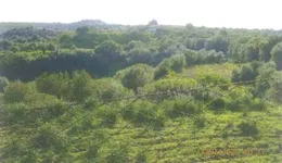 Aste giudiziarie immobiliari online - 3.0