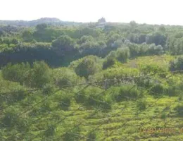 Aste giudiziarie immobiliari online - 11.0