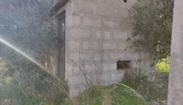 Aste giudiziarie immobiliari online - 6.0