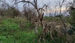 Aste giudiziarie immobiliari online - 2.0