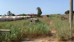 Aste giudiziarie immobiliari online - 6.0