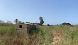 Aste giudiziarie immobiliari online - 2.0