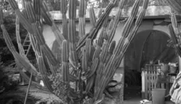 Aste giudiziarie immobiliari online - 11.0