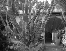 Aste giudiziarie immobiliari online - 11.0