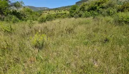 Aste giudiziarie immobiliari online - 4.0