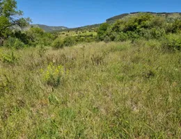 Aste giudiziarie immobiliari online - 9.0