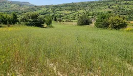 Aste giudiziarie immobiliari online - 4.0