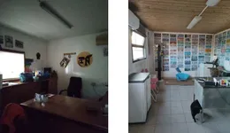 Aste giudiziarie immobiliari online - 1.0