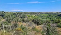 Aste giudiziarie immobiliari online - 7.0