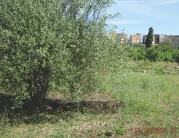 Aste giudiziarie immobiliari online - 5.0