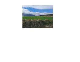 Aste giudiziarie immobiliari online - 2.0