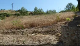 Aste giudiziarie immobiliari online - 2.0