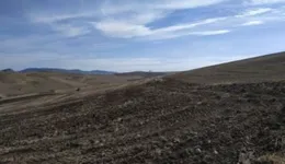 Aste giudiziarie immobiliari online - 8.0