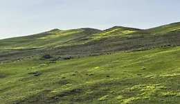 Aste giudiziarie immobiliari online - 6.0