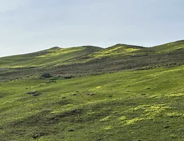 Aste giudiziarie immobiliari online - 7.0