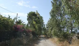 Aste giudiziarie immobiliari online - 5.0