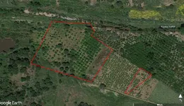 Aste giudiziarie immobiliari online - 2.0