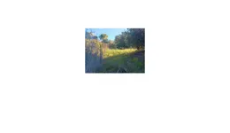 Aste giudiziarie immobiliari online - 9.0