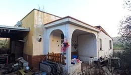 Aste giudiziarie immobiliari online - 12.0