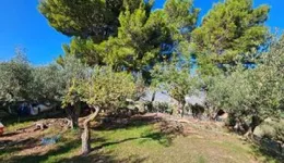 Aste giudiziarie immobiliari online - 6.0