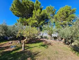 Aste giudiziarie immobiliari online - 9.0